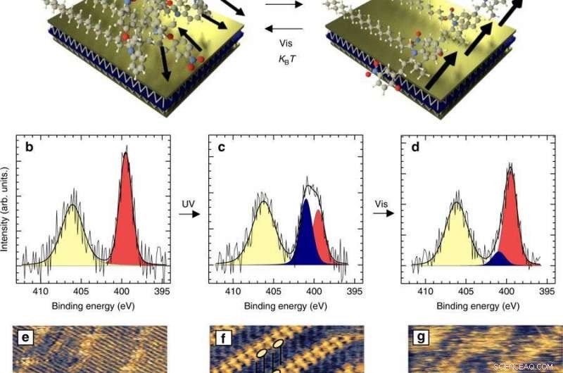 Controlling Supramolecular Electronics with Photo-Switchable Molecular Crystals