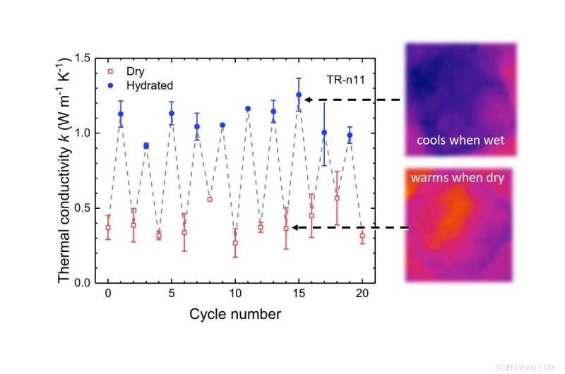 New Thermal Switch Uncovered in Engineered Squid‑Based Biomaterials