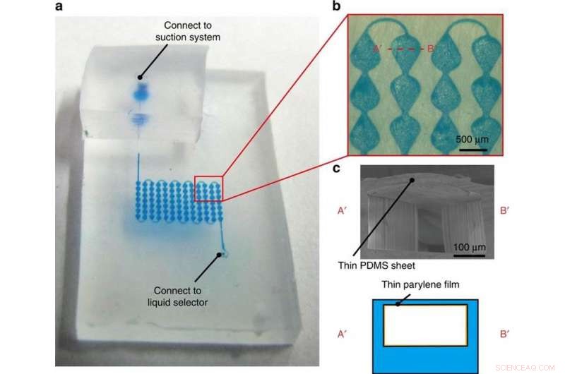 Microfluidic-Based Flexible Color Displays: Design & Fabrication