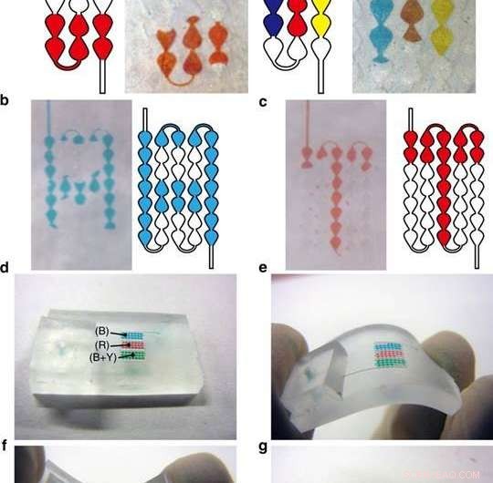 Microfluidic-Based Flexible Color Displays: Design & Fabrication