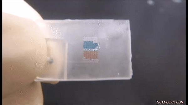 Microfluidic-Based Flexible Color Displays: Design & Fabrication