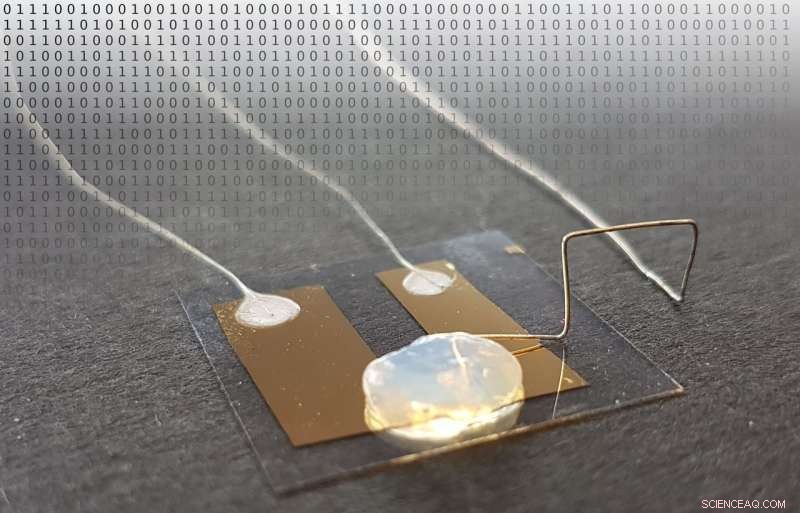 World’s Smallest Transistor Uses a Single Atom to Switch Current – A Breakthrough at KIT