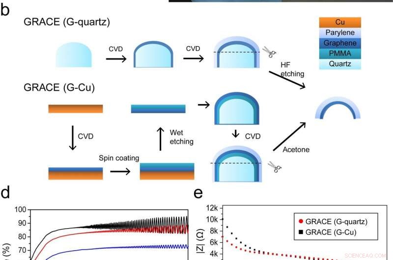 Graphene Corneal Contact Lens Delivers Robust, Irritation‑Free Topographic Electroretinography