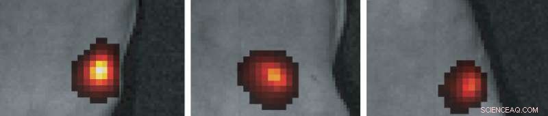 Safer Cell Imaging with Light-Emitting Nanoparticles