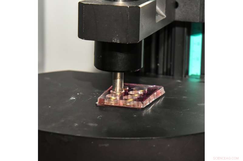 Nanomushroom Chips, Light, and Coding: A New Front in Combating Bacteria