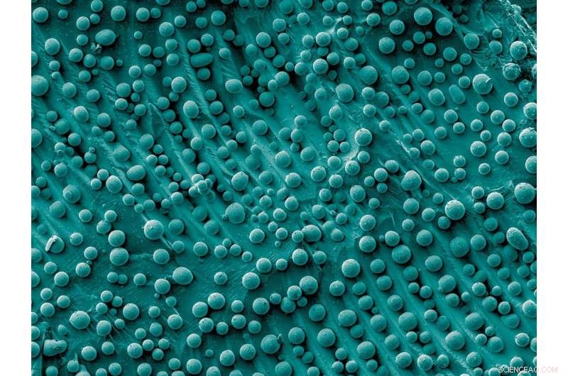 From Micro to Macro: Big-Picture Thinking Accelerates Nanoparticle Production