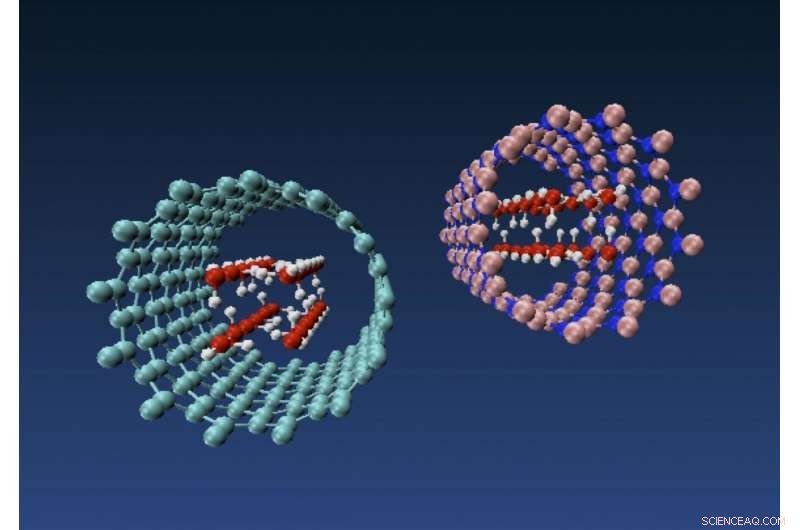 Nanotubes Reshape Water Inside Their Cores: Rice University Breakthrough