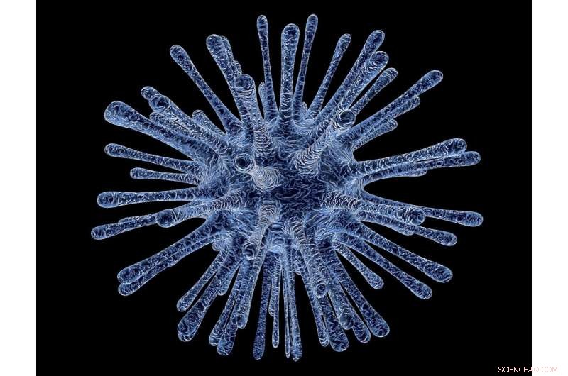 Revolutionary Low‑Cost Nanogels Offer Powerful, Cell‑Friendly Antiviral Protection