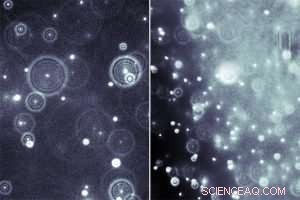 Team Develops Advanced AI-Driven Particle Tracking Software