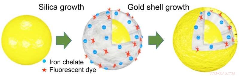 New MRI Contrast Agents: Iron-Based Nanoparticles Outperform Gadolinium