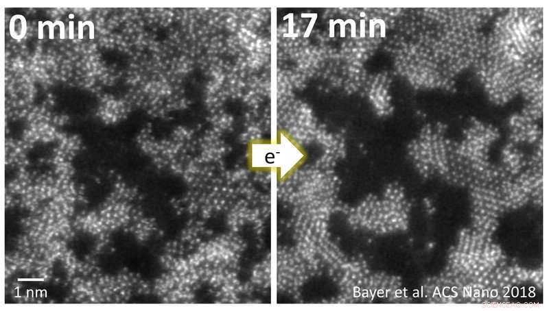 Observing the Growth of Two-Dimensional Materials