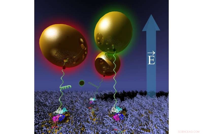 Revolutionary Nanoactuator Harnesses DNA for Precise Gold Nanoparticle Control