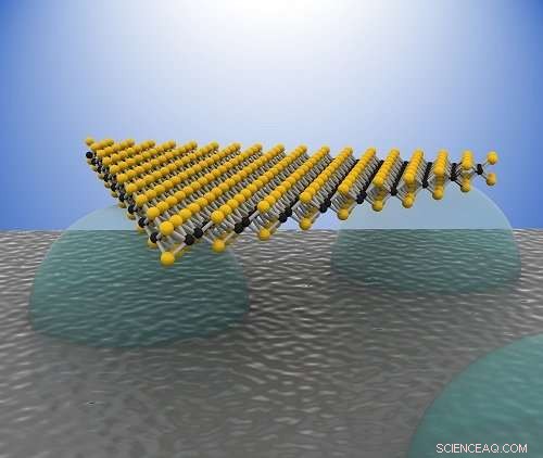 Elevate Device Performance with Levitating 2-D Semiconductors