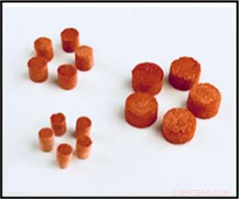 Pill-Based Delivery System for Biomedical Micromotors