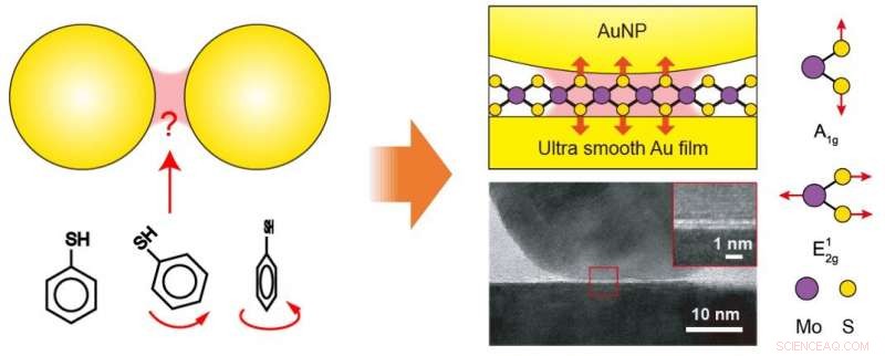 Exploring Plasmonic Enhancement Limits Using 2D Atomic Crystal Probes