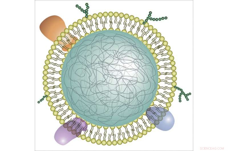 Neutrophil Nanosponges: A Novel Therapy to Neutralize Proteins Driving Rheumatoid Arthritis
