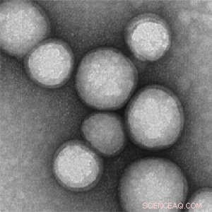 Neutrophil Nanosponges: A Novel Therapy to Neutralize Proteins Driving Rheumatoid Arthritis