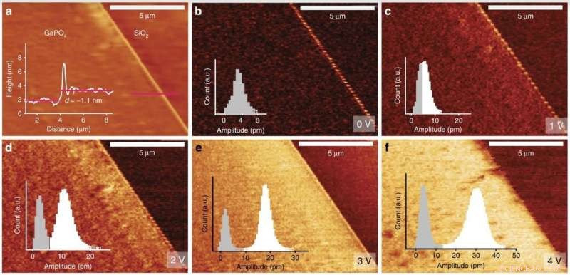 Revolutionizing Piezoelectric Technology: Large-Scale 2D Surface Deposition