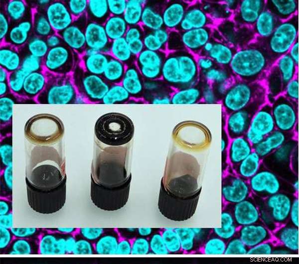 Carbon Nanodots Show Ultra-Fine Interaction with In Vitro Lung Tissue