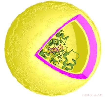 The Science Behind Transdermal Drug Delivery