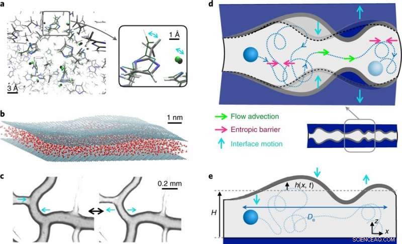 Transport and Dispersion Dynamics in Wiggling Nanopores: A Detailed Investigation
