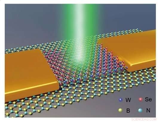 Multibit Optoelectronic Memory with WSe2/BN Heterostructure