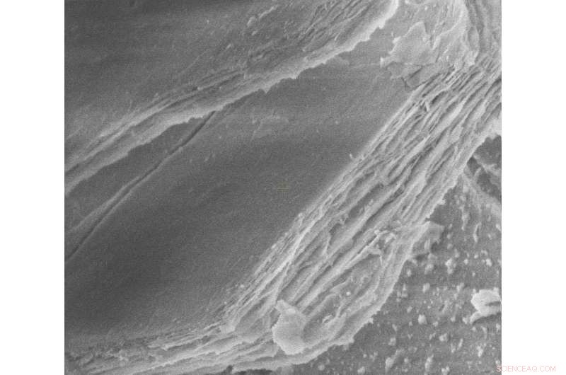 Fast & Reliable: New Nano-Filter Cleans Drinking Water 100x Faster