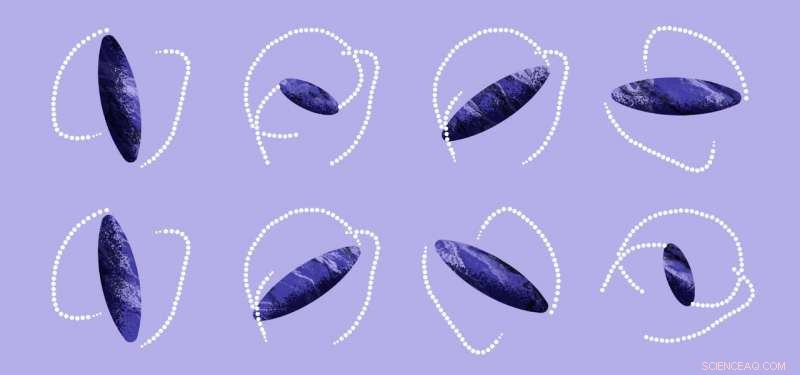 Advanced Computational Model Guides Targeted Cancer Drug Delivery