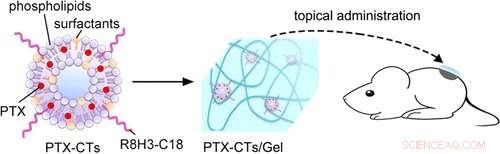 Innovative Paintable Chemotherapy Effectively Reduces Skin Tumors in Mice