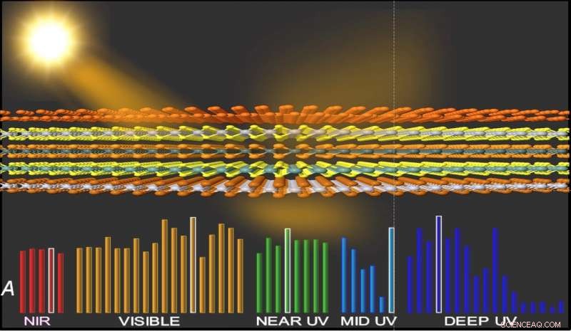 New Study Illuminates Light Interaction in Two-Dimensional Materials