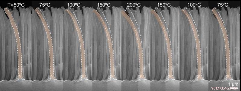 Innovative Boiling Surface Cooling Concept Could Mitigate Nuclear Plant Accidents