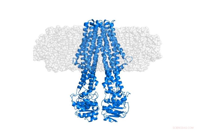 Revolutionary Method for Studying Integral Membrane Proteins