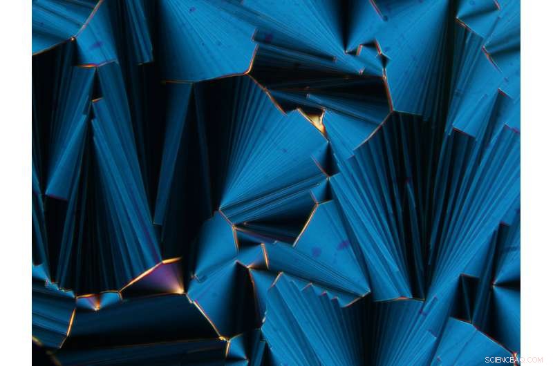 Liquid Crystals: A Key to Understanding the Origin of Life