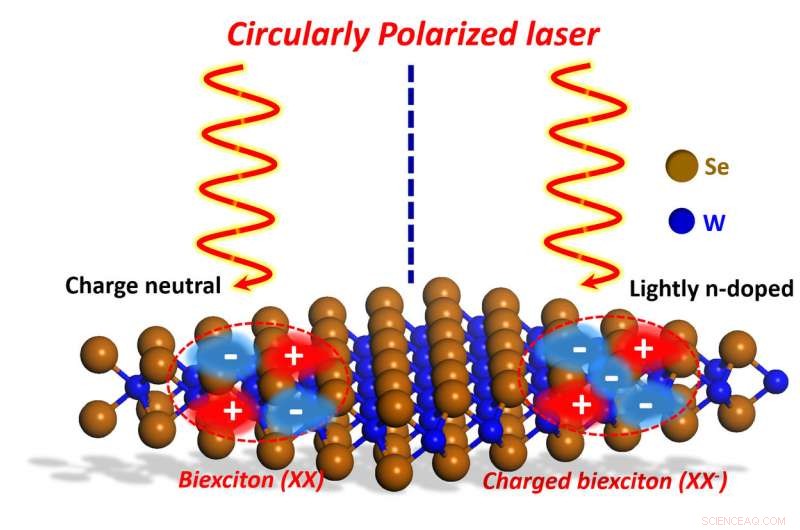 Advancing Electronics: Light‑Matter Interaction Research Boosts Device Performance