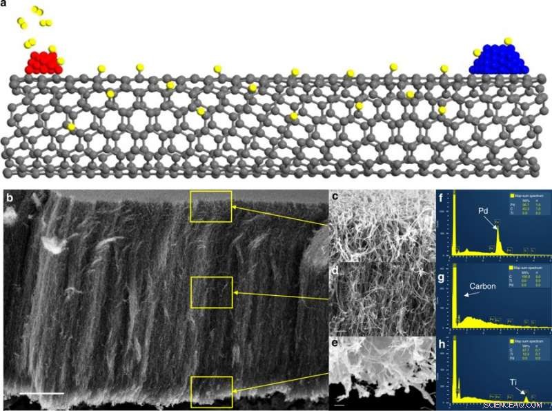 Scientists Pinpoint Catalytic Active Sites on Carbon Nanotubes