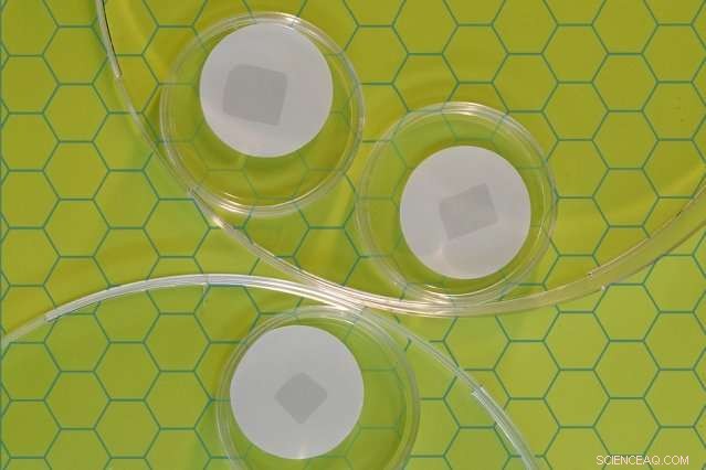 MIT Breakthrough: Perforated Graphene Sheets Revolutionize Molecular Separation