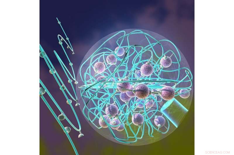 Bio-Inspired Nanoreactors: Catalytically Active Single-Chain Nanoparticles Revolutionize Catalysis