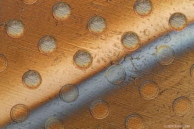 MIT Breakthrough: Mass-Producing Cell-Sized  Syncells  Robots