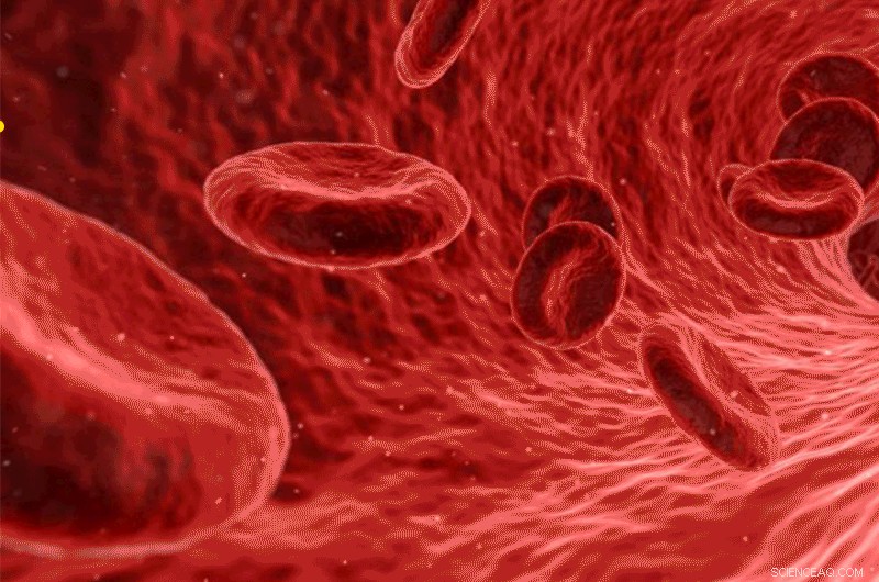 Mushroom-Brush Polymer Coatings Enable Cancer-Fighting Nanoparticles to Survive Body Defenses