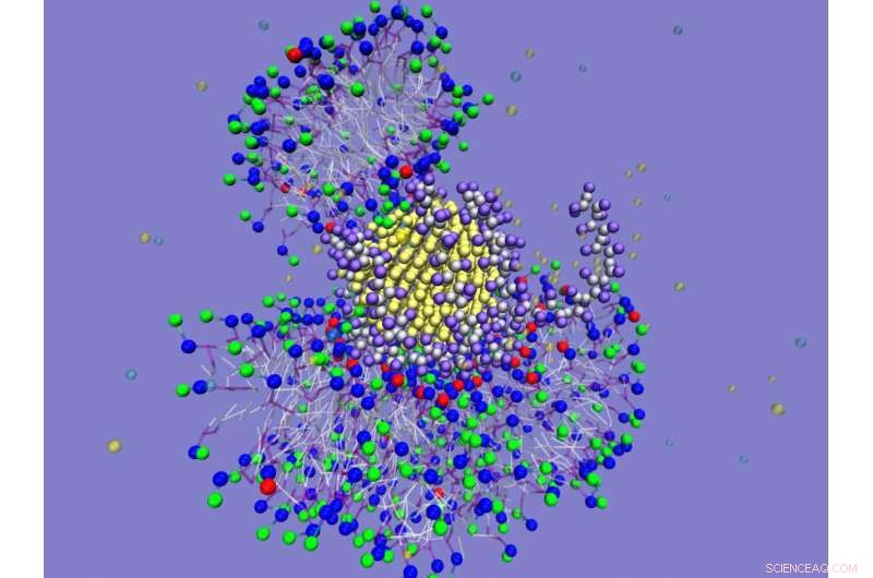 New Study Reveals How Nanoparticles Interact with Biological Systems