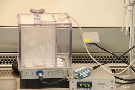 Graphene s Impact on Lung Health: First 3D Model Studies on Inhalation Effects