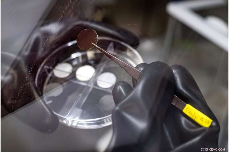 Carbon Nanotubes Unlock High-Power, Fast-Charging Lithium Metal Batteries