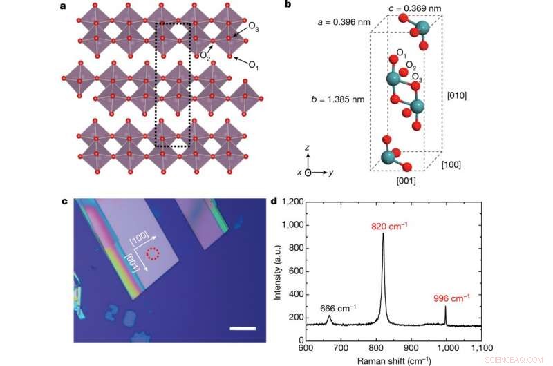 Discovery: Natural α-MoO₃ Exhibits Rare In-Plane Hyperbolicity