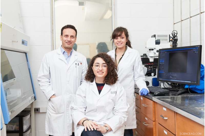 McMaster Researchers Engineer Smart Surfaces to Repel Pathogens While Allowing Beneficial Exceptions