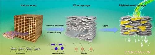 Innovative Wood Sponge: Selectively Absorbs Oil from Water, Reusable for Spill Cleanup