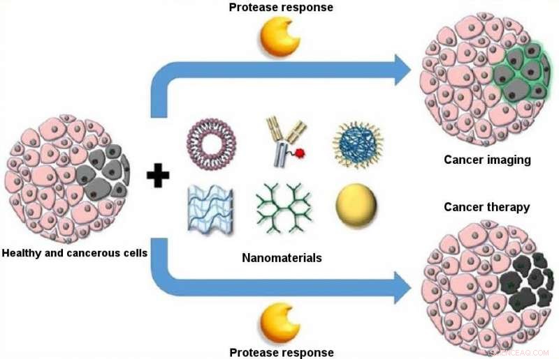 Stimuli-Responsive Nanomaterials: Revolutionizing Targeted Cancer Drug Delivery and Imaging