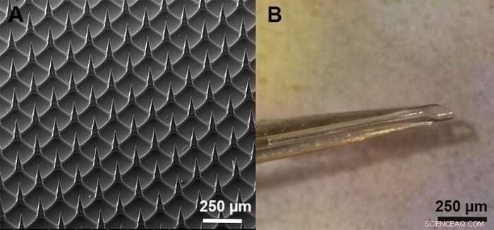 Pain-Free Vaccinations: Microneedles and Nanoparticles Revolutionize Delivery