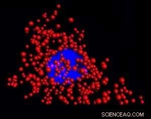 Breakthrough Quantum Dots Revolutionize mRNA Imaging in Live Cells