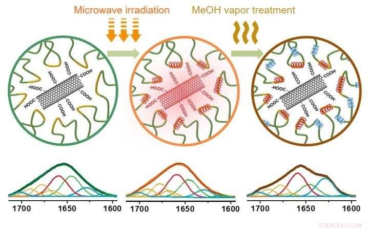Breakthrough: Transparent, Flexible Silk-Carbon Nanotube Material via Microwave Innovation