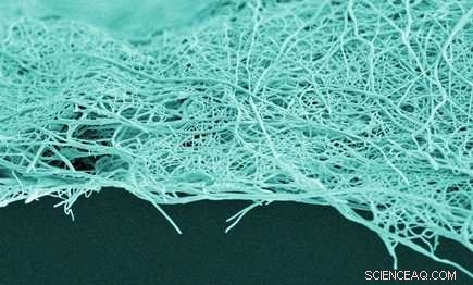 Innovative Face Mask for Medical Staff: Enabling Clear Patient Communication